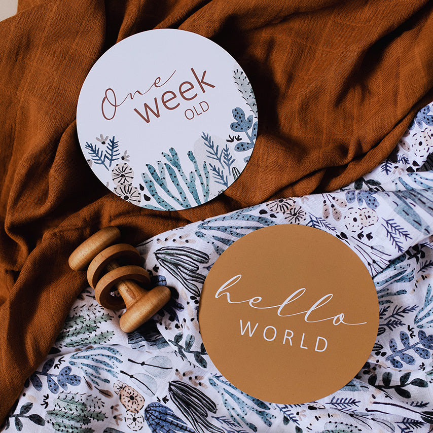 Snuggle Hunny Kids - Milestone Cards - Arizona & Bronze Reversible