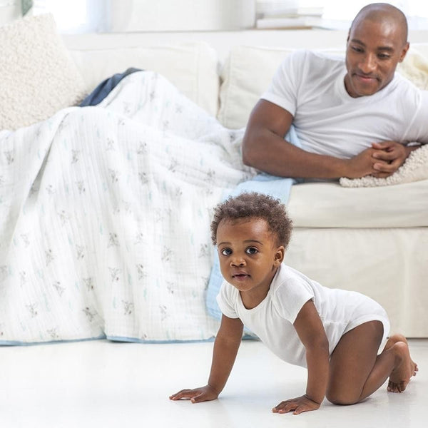 Aden and Anais Dream Blanket Liam The Brave Flying Dog Carry Them Close