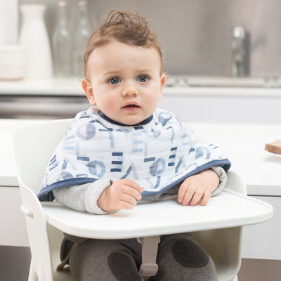 Aden and Anais - Burpy Bib (2 Set) - Waverly