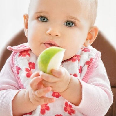 Aden and Anais - Snap Bib 3 Set - Princess Posie - Clothing - Aden and Anais - Afterpay - Zippay Carry Them Close