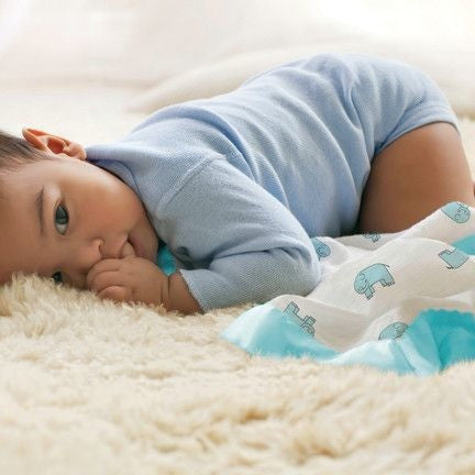 Aden and Anais - Security Blankets Comforter - Issie Declan Elephant (set of 2) - Security Blanket - Aden and Anais - Afterpay - Zippay Carry Them Close