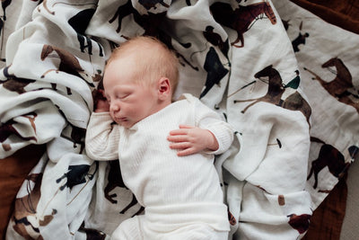 Pop Ya Tot - Muslin Swaddle - Polo Club