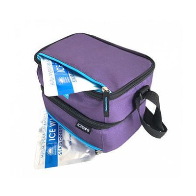 Arctic Zone - Expandable Insulated Lunch bag - Logan