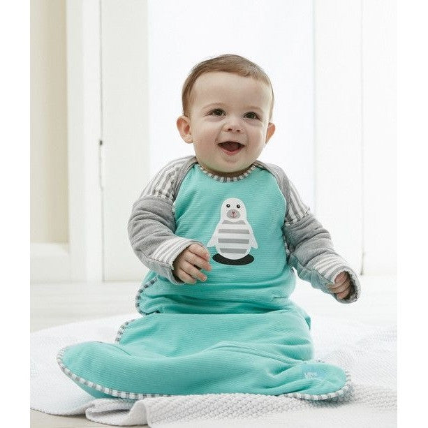 Love to Dream - Arm Warmers - Baby Sleeping Bags - Love To Deam - Afterpay - Zippay Carry Them Close