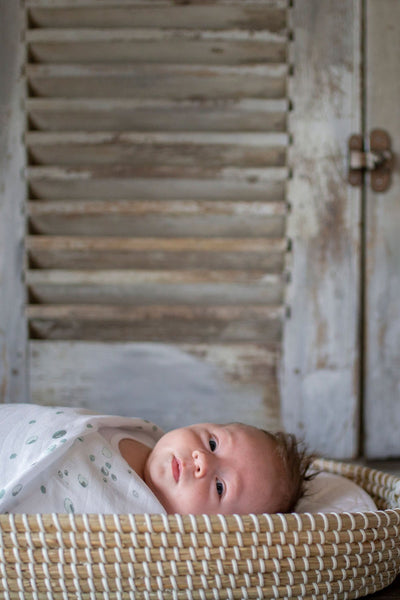 Little Bamboo - Bamboo Muslin Baby Swaddle Wraps 3Pk - Whisper (3Pk)