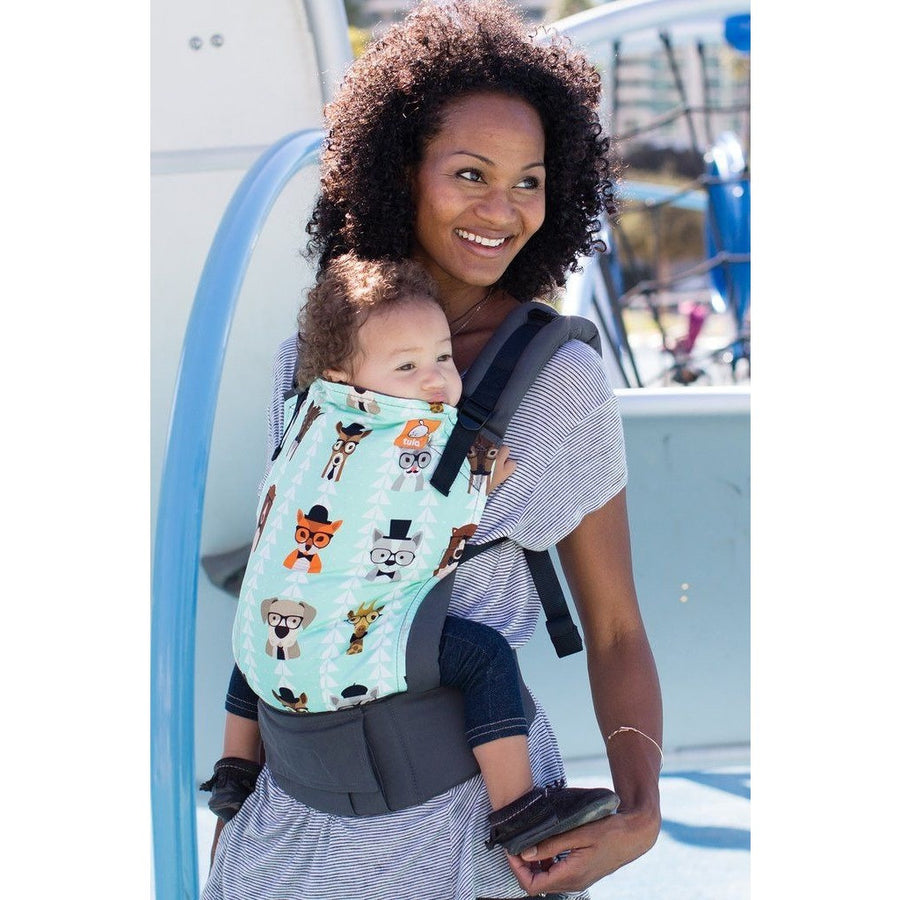 Tula Baby Carrier Standard - Clever, , Baby Carrier, Tula, Carry Them Close - 1