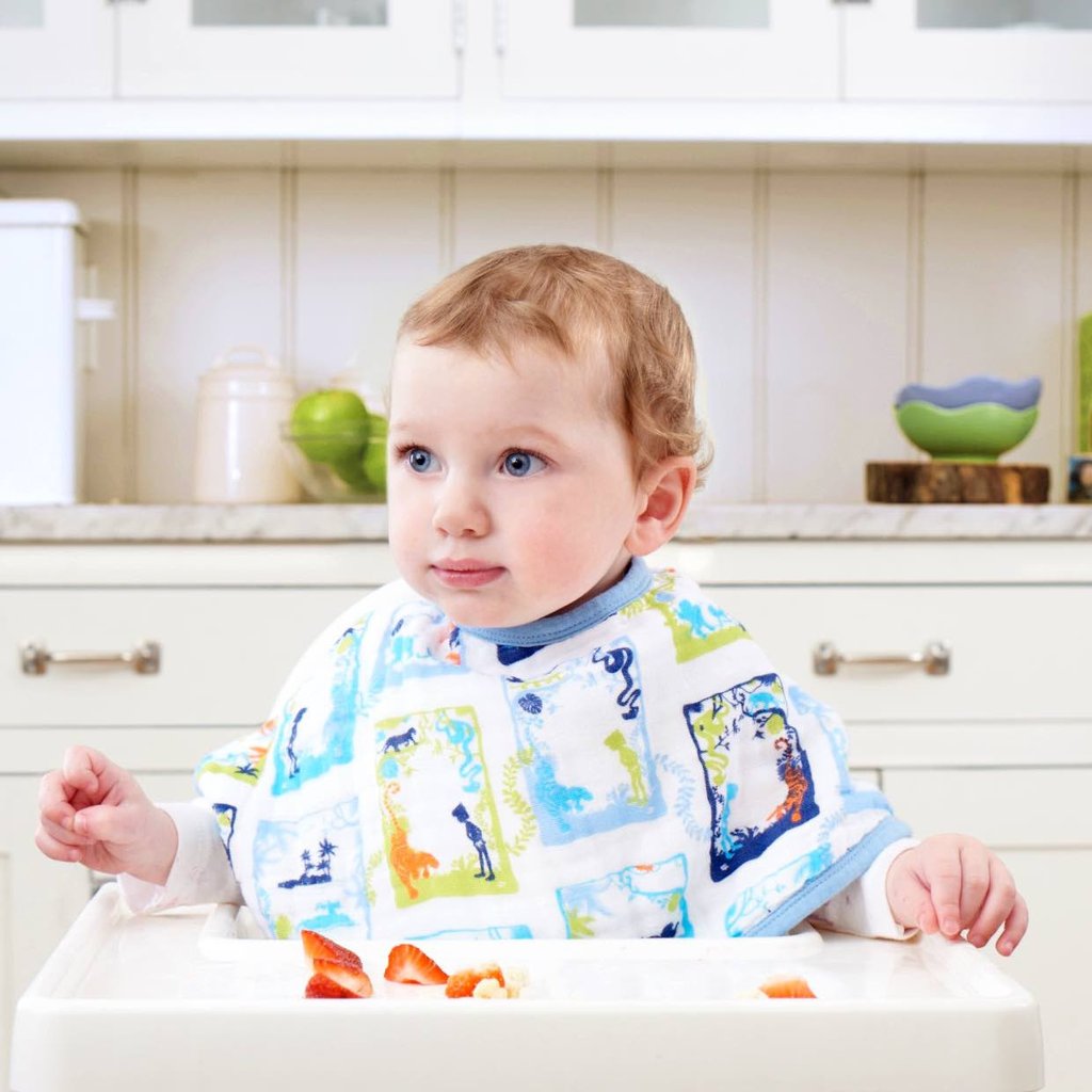 Aden and Anais - Burpy Bib (2 Set) - Jungle Book