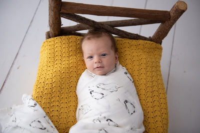 Kute Cuddles - Organic Bamboo Muslin Swaddle - Oli