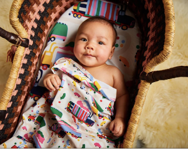 Halcyon Nights - Fitted Bassinet Sheet - LORRIES