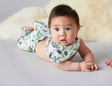 Halcyon Nights - Bandana Bib - Fern Gully Yo Yo Bib