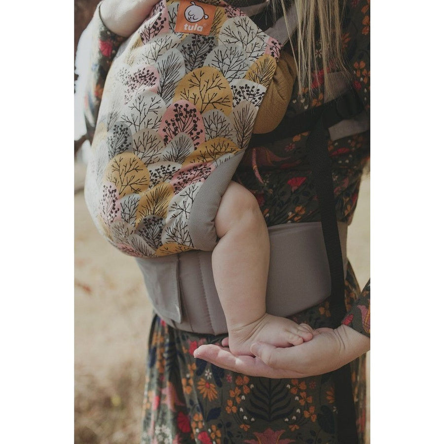 Tula Baby Carrier Standard - Shenandoah - Baby Carrier - Tula - Afterpay - Zippay Carry Them Close