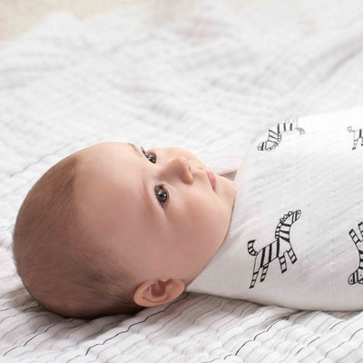 Aden and Anais - Swaddle - 10th anniversary (2 set) - swaddle - Aden and Anais - Afterpay - Zippay Carry Them Close