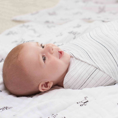 Aden and Anais - Swaddle - 10th anniversary (2 set) - swaddle - Aden and Anais - Afterpay - Zippay Carry Them Close