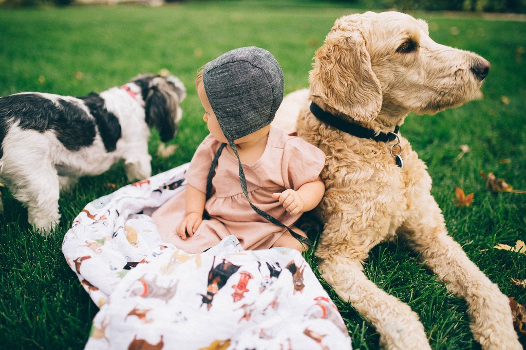 Little Unicorn - Cotton Muslin Baby Swaddle - Woof