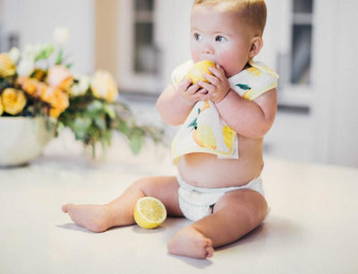 Little Unicorn - Snap Bib 3 Set - Berry Lemonade