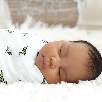 Aden and Anais - Classic Swaddles - Jungle Jam (4 Pack) - swaddle - Aden and Anais - Afterpay - Zippay Carry Them Close