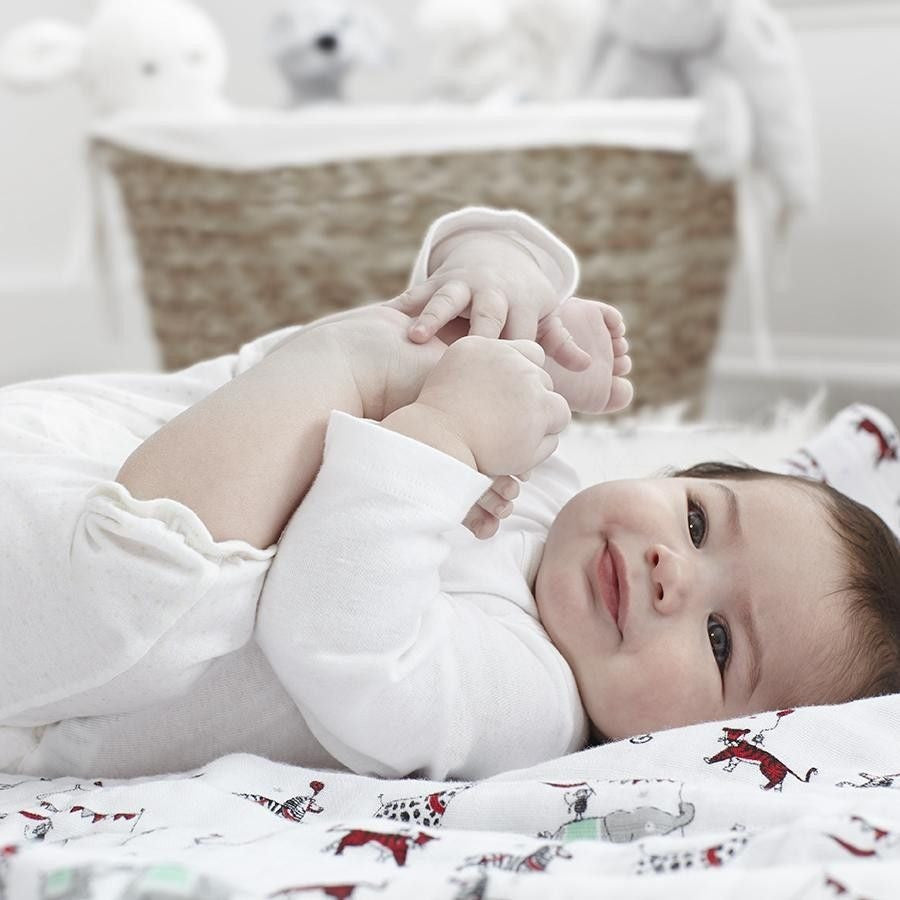 Aden and Anais - Classic Swaddles - Vintage Circus (4 Pack) - swaddle - Aden and Anais - Afterpay - Zippay Carry Them Close