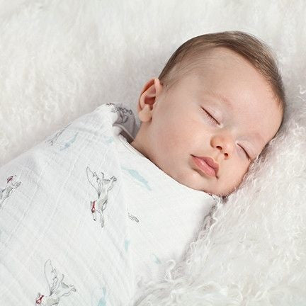 Aden and Anais - Swaddle Blanket - Liam the brave (2 set) - swaddle - Aden and Anais - Afterpay - Zippay Carry Them Close