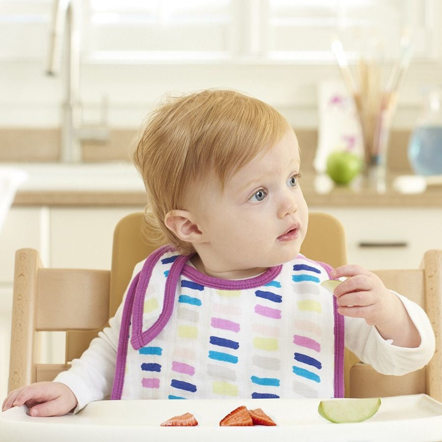 Aden and Anais - Snap Bib 3 Set - Wink - Clothing - Aden and Anais - Afterpay - Zippay Carry Them Close