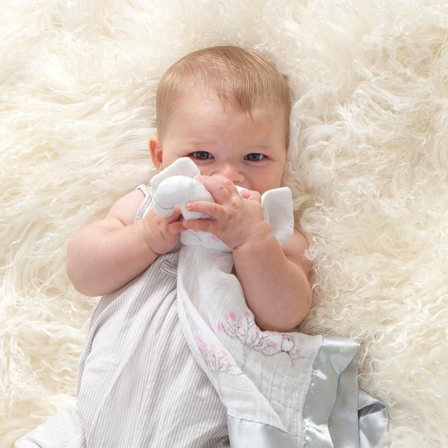Aden and Anais - Musy Mate Lovely Comforter - for the birds (Elephant) - Security Blanket - Aden and Anais - Afterpay - Zippay Carry Them Close