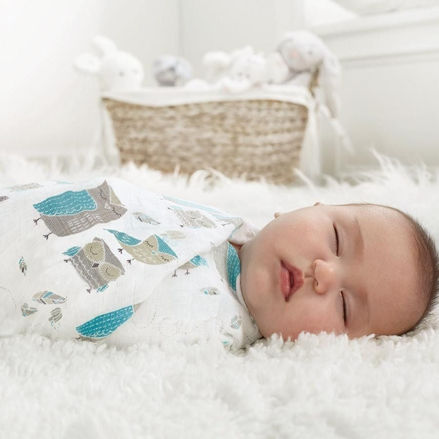 Aden and Anais - Organic swaddles Wise Guys (3 Pack), , swaddle, Aden and Anais, Carry Them Close  - 1