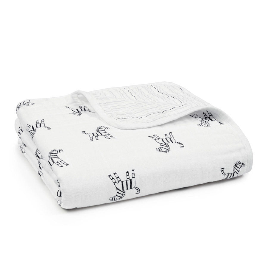 Aden and anais monkey blanket best sale