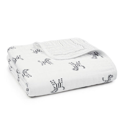 Aden and Anais - Dream Blanket 10th Anniversary