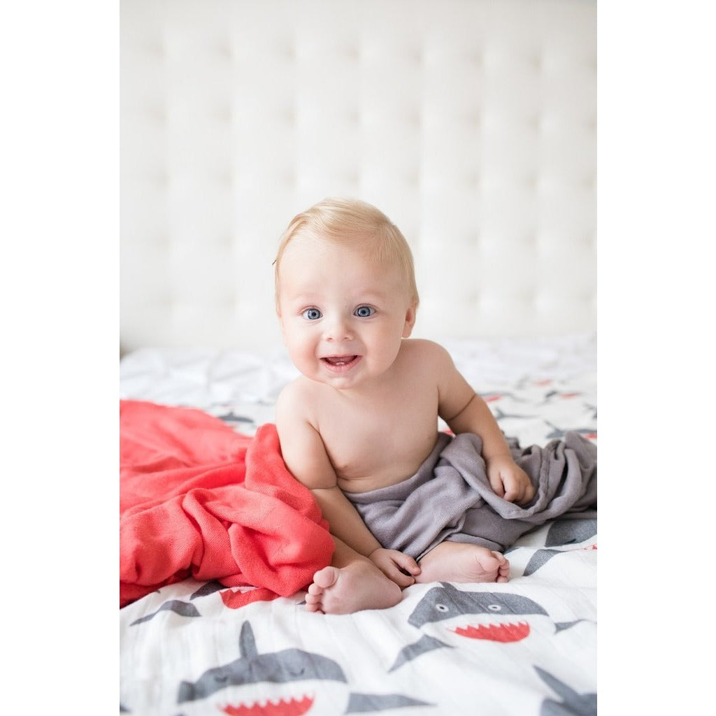 Chomp tula blanket sale