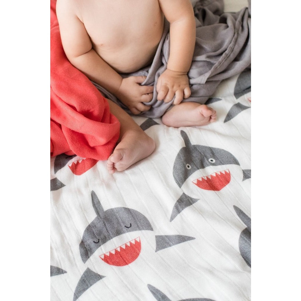 Chomp tula blanket sale