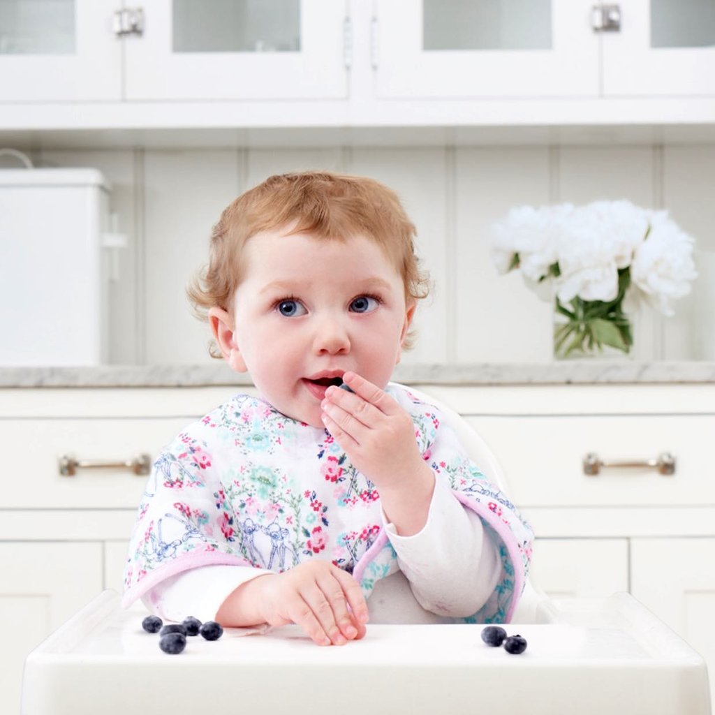 Aden and Anais - Burpy Bib (2 Set) - Bambi