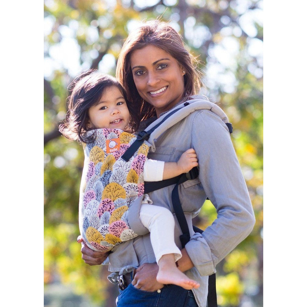 Draagzak Tula Shenandoah Tula Baby Carrier Standard Shenandoah