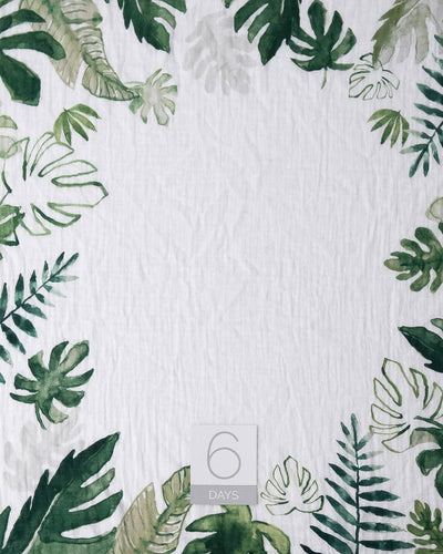 Little Unicorn - Photo Blanket Swaddle & Milestone Set - Tropical Leaf