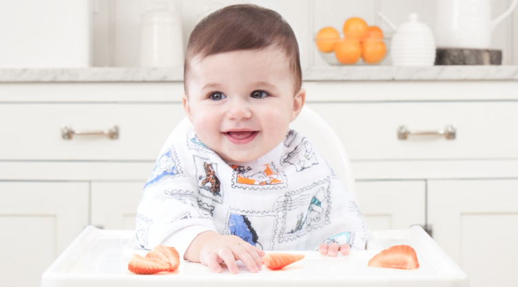 Aden and Anais - Burpy Bib (2 Set) - Disney Winnie the Pooh