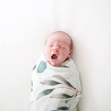 Posh Peanut - Muslin Bamboo Baby Swaddle Wrap - Silver Leaf