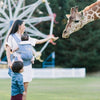 Ergobaby Adapt Carrier - Sophie La Girafe (limited edition) - Baby Carrier - Ergobaby - Afterpay - Zippay Carry Them Close