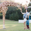 Ergobaby Adapt Carrier - Sophie La Girafe (limited edition) - Baby Carrier - Ergobaby - Afterpay - Zippay Carry Them Close