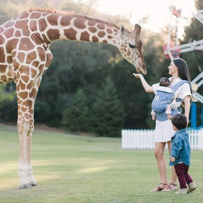 Ergobaby Adapt Carrier - Sophie La Girafe (limited edition) - Baby Carrier - Ergobaby - Afterpay - Zippay Carry Them Close